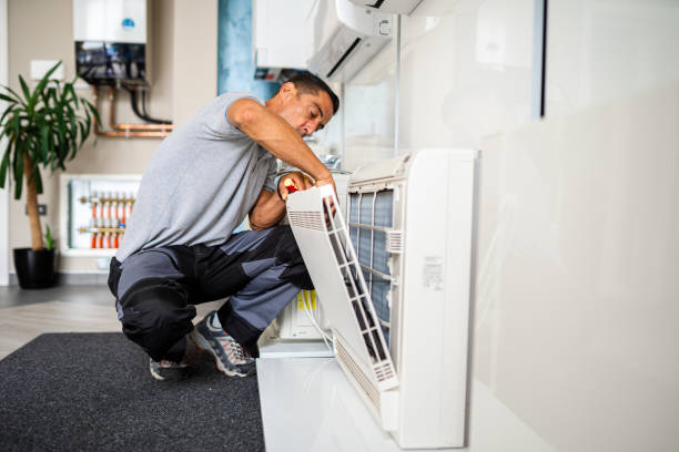 Best HVAC Duct Inspection Services  in Capac, MI